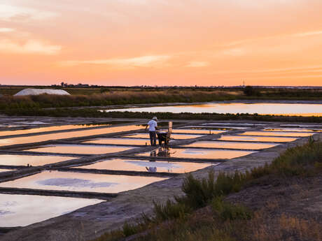 Travelling concert: The Voice of the Marshes