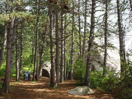 Sentier Patrimonial Forestier de Céüse