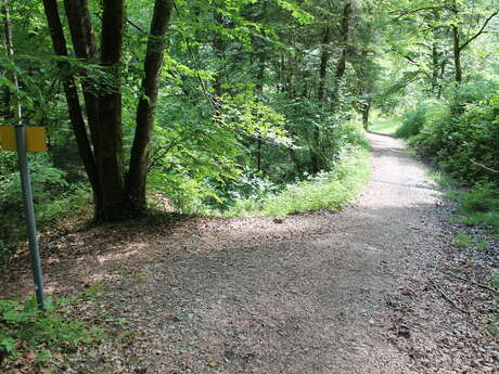 Boucle VTT de Lescheraines - Cascade du Pissieu