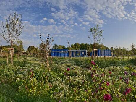 Visite guidée de la forêt enchantée