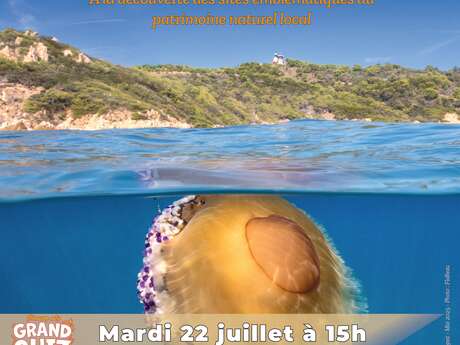 Diaporama interactif : Secrets marins du littoral des Maures