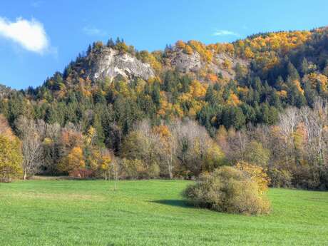 Sentier de randonnée - Les Meulières du Mont Vouan