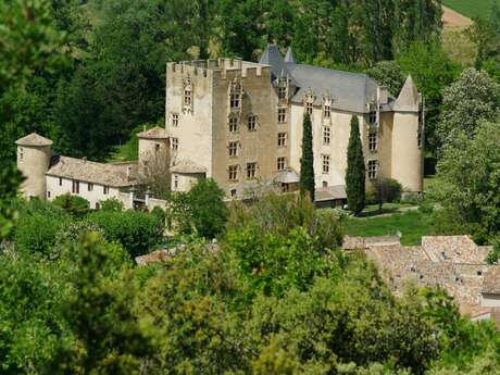 Visite du château d'Allemagne-en-Provence