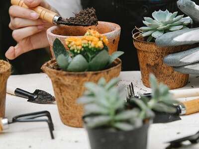 Seed Library Day: Nature & Upcycling