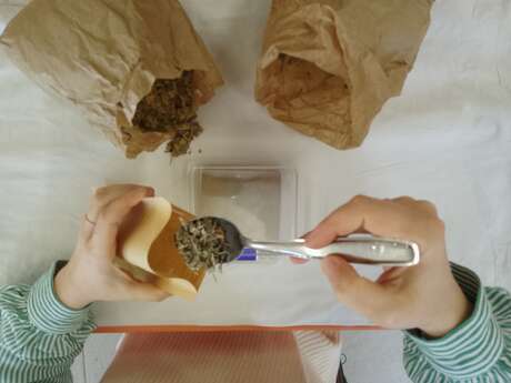 Aromatherapy and phytotherapy workshop