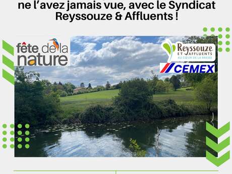 Balade nature : à la découverte de la Reyssouze