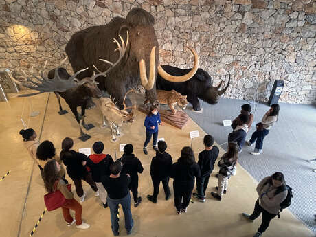 Laissez-vous guider au musée