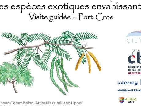 Nature walk Port-Cros: Var treasures under threat