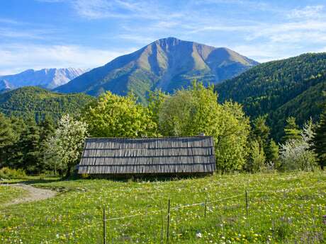 Retraite Yoga en Montagne