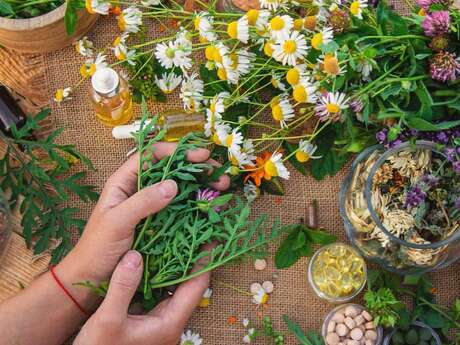 Conférence sur la naturopathie