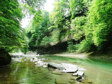 Les gardiens du Chéran l Renc'Arts du Parc