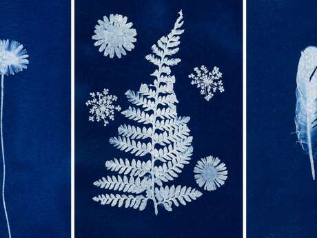Atelier enfant : Magie du cyanotype