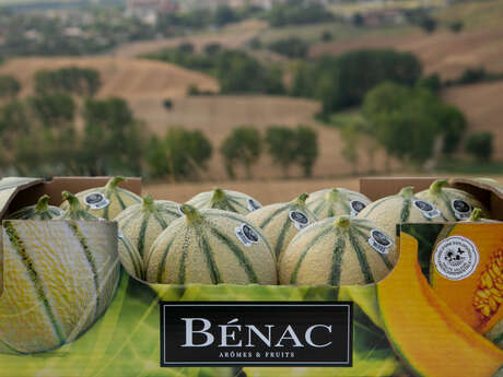 Ferme "SCEA Bénac"