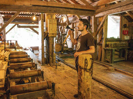 Guided tour of the Wood and Forest Ecomuseum