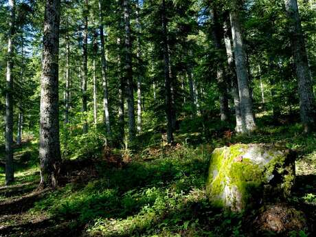 The Sentier des Pyramides - The Pyramids Path