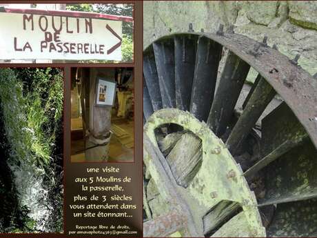 Visite guidée du moulin de la Passerelle