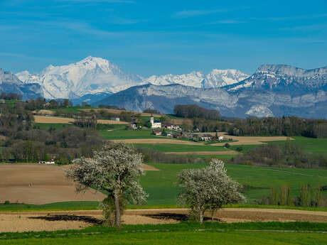 Exposition photo "L’Albanais, balcon des Alpes"