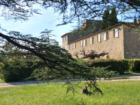 Visite & Découverte du Château Saint Pierre de Mejans