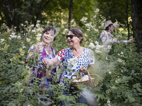 Boucle des Savoir Faire : La Boite à Mélisse