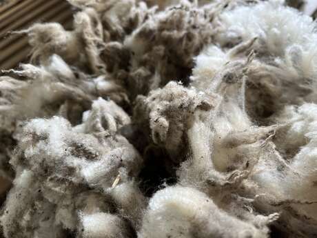 Spinning wool on a spinning wheel