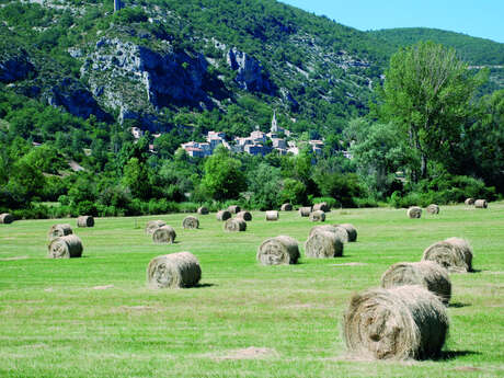 The village of Monieux