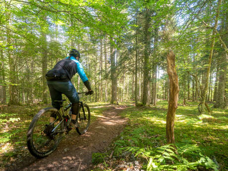 N°1 - Vieil Ecotay - Espace VTT Montbrison - Monts du Forez