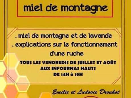 Extraction et dégustation de miel de montagne - Ferme Drouhot