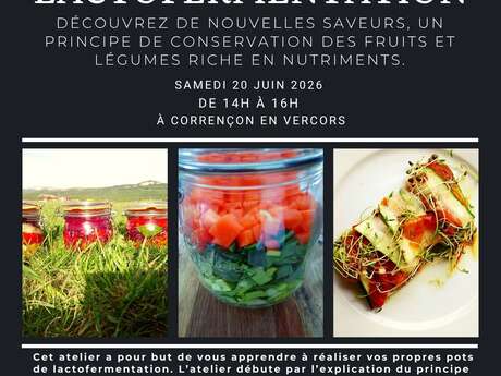 Atelier lactofermentation