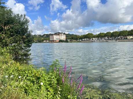 Beaucaire island