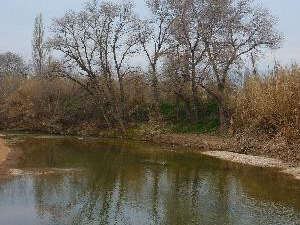 Berre l'Etang : la randonnée des amis