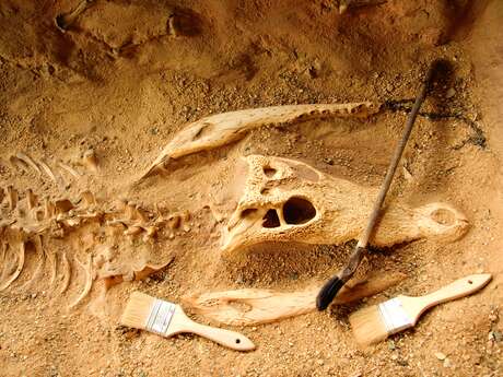 Mini archaeological digs