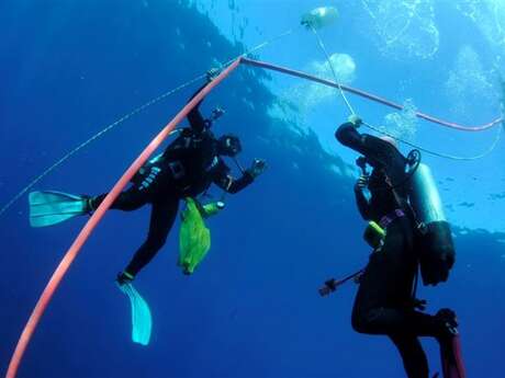 Sun Plongée diving center