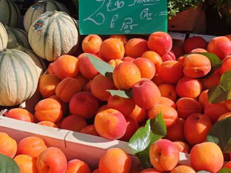 Market tour and local products