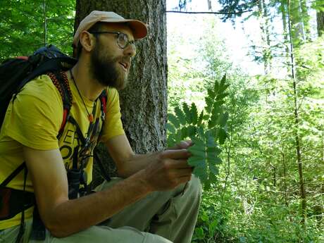 La vie secrète des plantes / Balade Famille