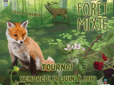 Tournoi Forêt Mixte