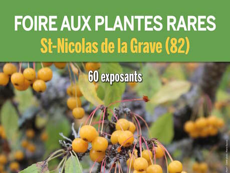 Foire aux plantes rares