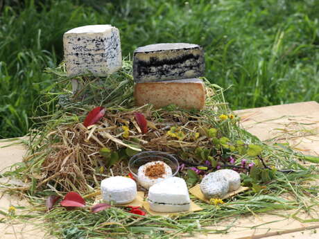 SCEA La Ferme de Manon