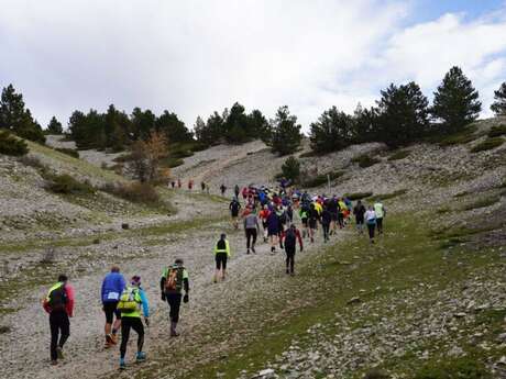 Der Grand Raid du Ventoux