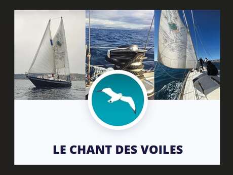 Des Voiles et l'art