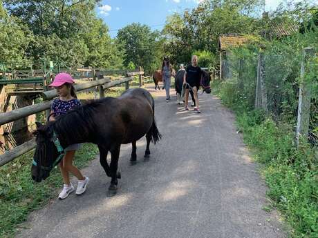 ADADA : Balades à poneys