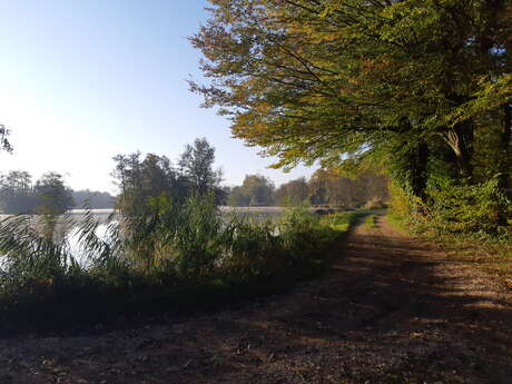 Viriat - Plan d'eau de Champataule