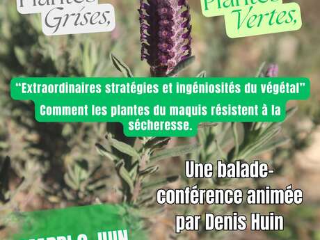 Balade nature commentée "Extraordinaires stratégies et ingéniosités du végétal"