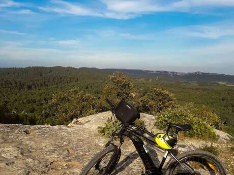 TARASCON – La forêt méditerranéenne à VTT