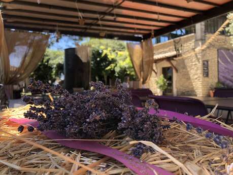 Peace, Love and Lavender au Musée de la Lavande