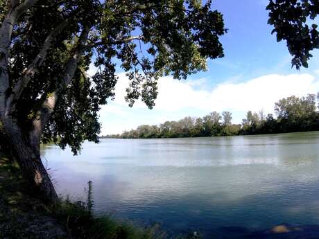 The Petit-Rhône dike