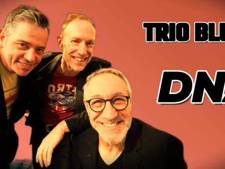 Place aux concerts - DNA blues Trio