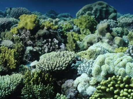 Diffusion Musée Micro-Folie - 'Félicien Trewey 'et des débuts du cinéma