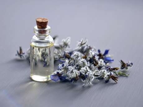 Parfum de nature - Atelier nature et création