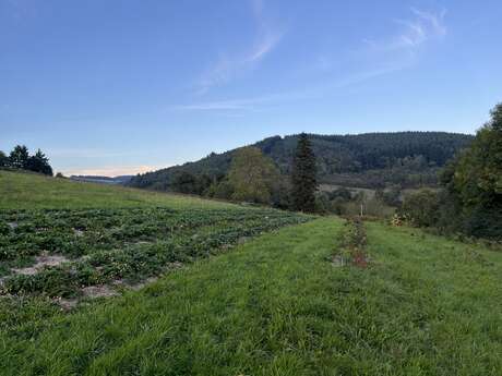 Monts & Merveilles