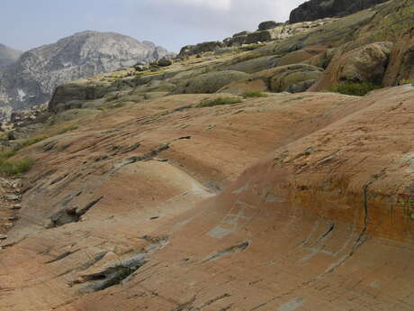 The rock engravings of Mont Bégo in Tende